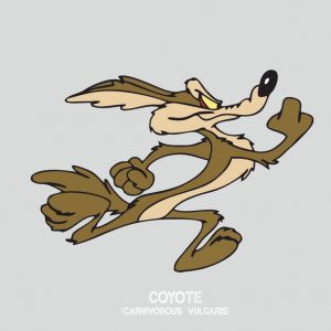 t-shirt Wile E. Coyote 1